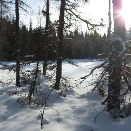 Residence Touristique Lodge Des Bois Saint-Félix-d'Otis المظهر الخارجي الصورة