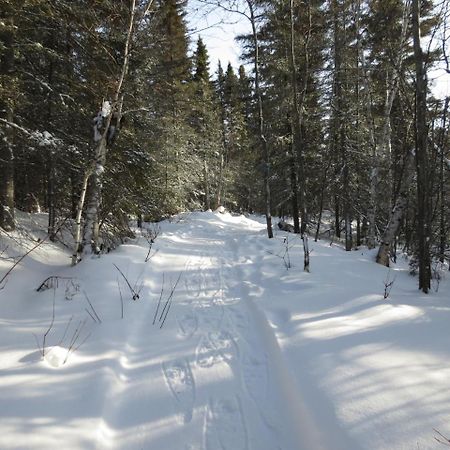 Residence Touristique Lodge Des Bois Saint-Félix-d'Otis المظهر الخارجي الصورة