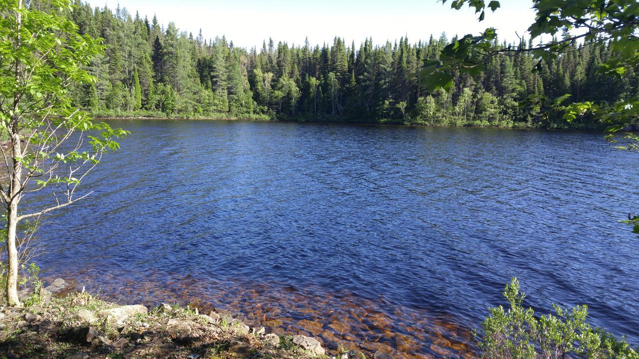 Residence Touristique Lodge Des Bois Saint-Félix-d'Otis المظهر الخارجي الصورة