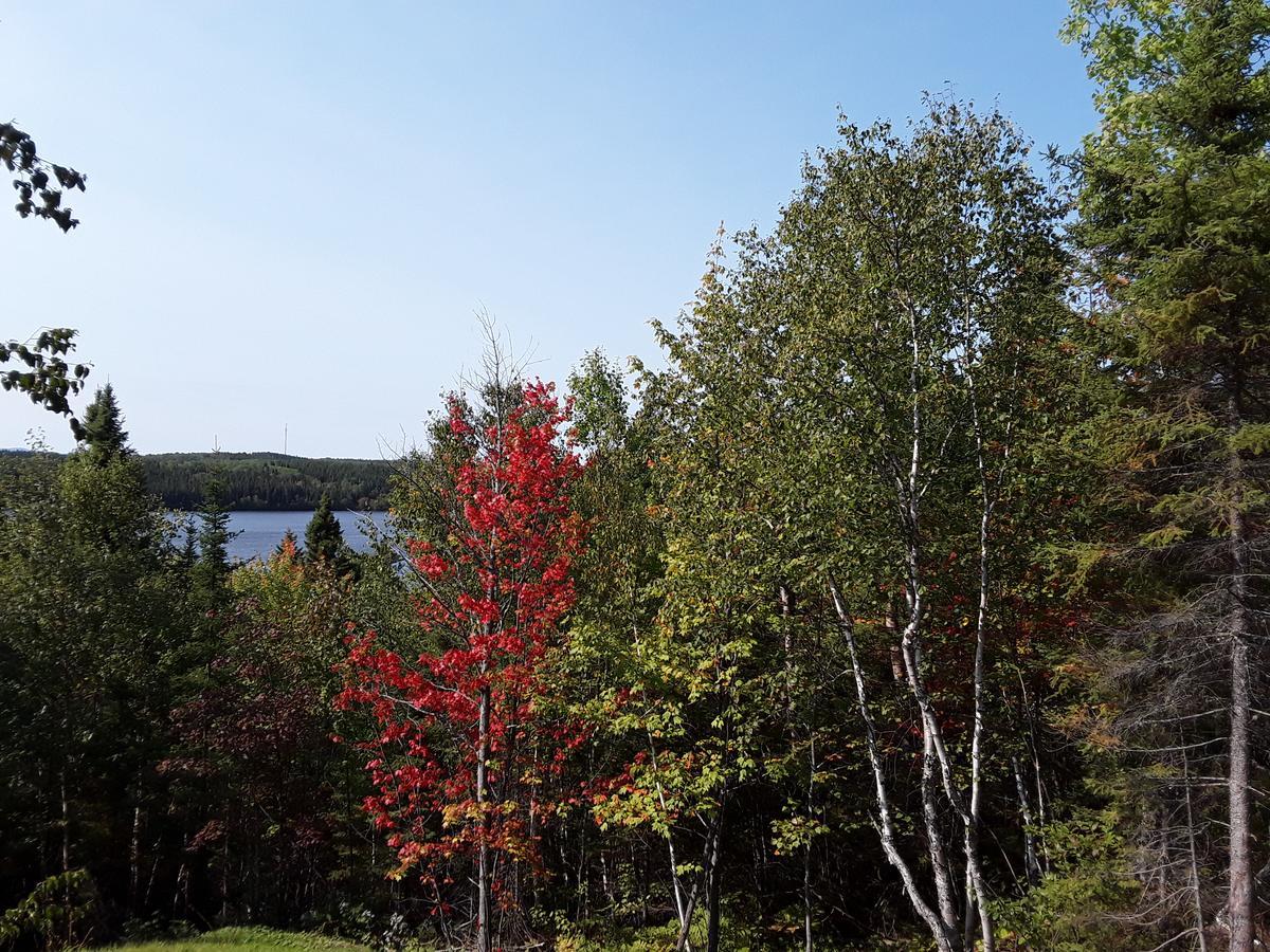 Residence Touristique Lodge Des Bois Saint-Félix-d'Otis المظهر الخارجي الصورة