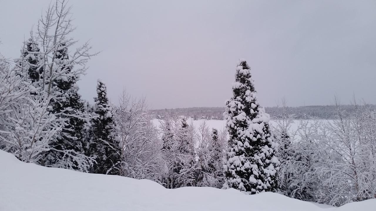 Residence Touristique Lodge Des Bois Saint-Félix-d'Otis المظهر الخارجي الصورة