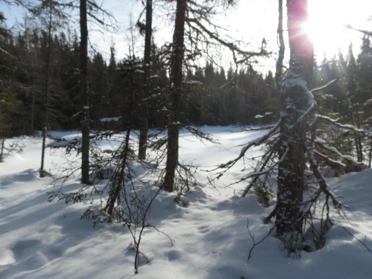 Residence Touristique Lodge Des Bois Saint-Félix-d'Otis المظهر الخارجي الصورة