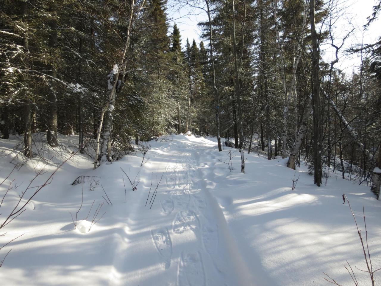 Residence Touristique Lodge Des Bois Saint-Félix-d'Otis المظهر الخارجي الصورة