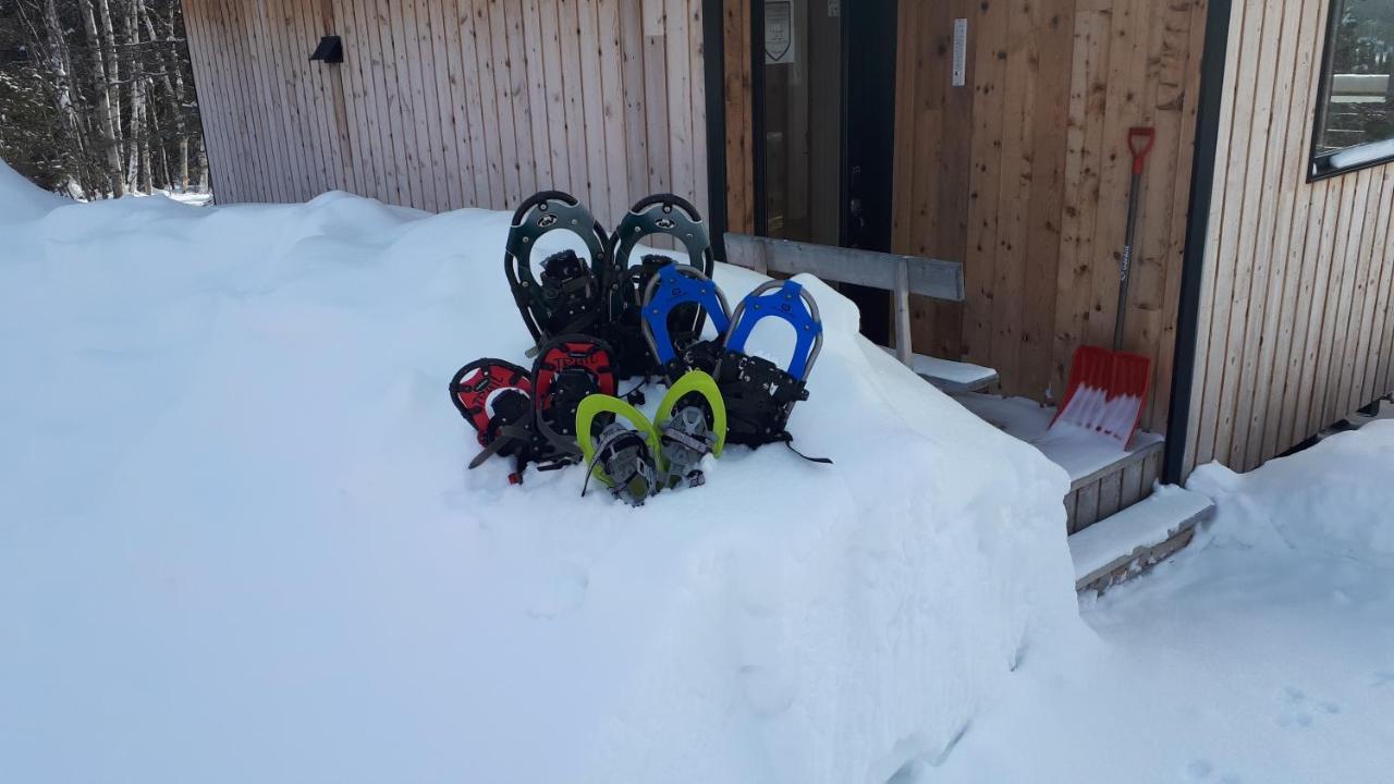 Residence Touristique Lodge Des Bois Saint-Félix-d'Otis المظهر الخارجي الصورة